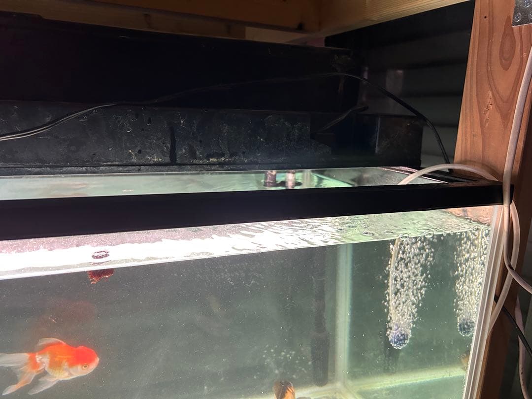 1200水槽　ガラス