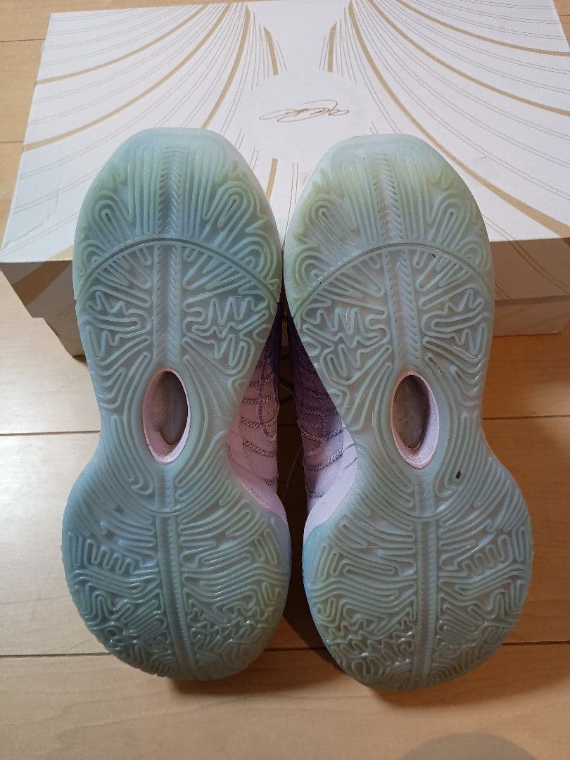 レブロン21 28cm グローバルラスト