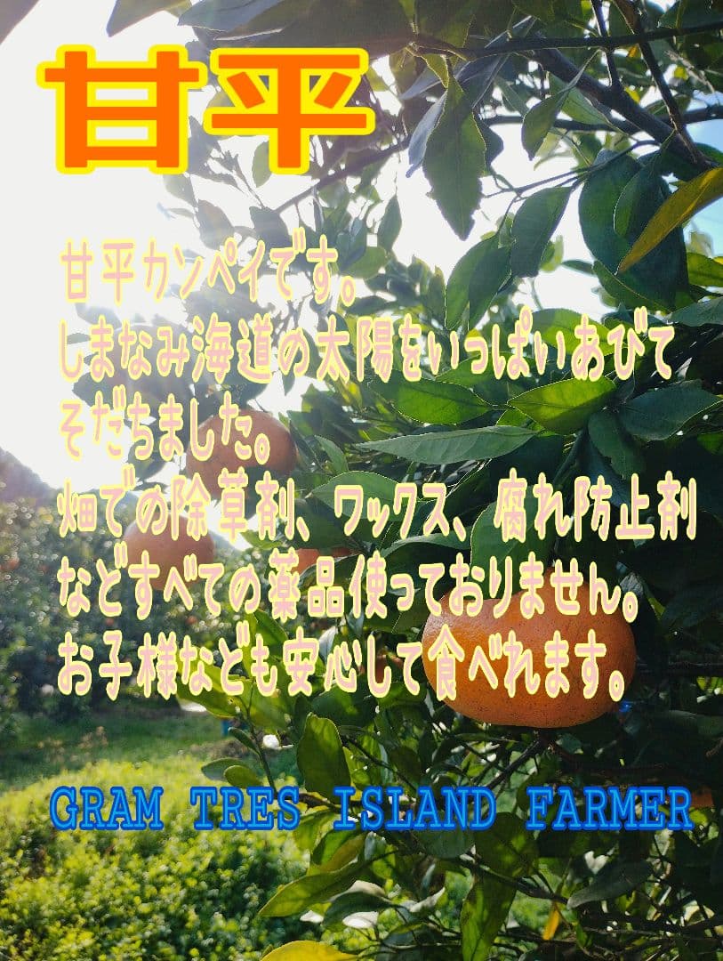 甘平　カンペイ　5kg　#2