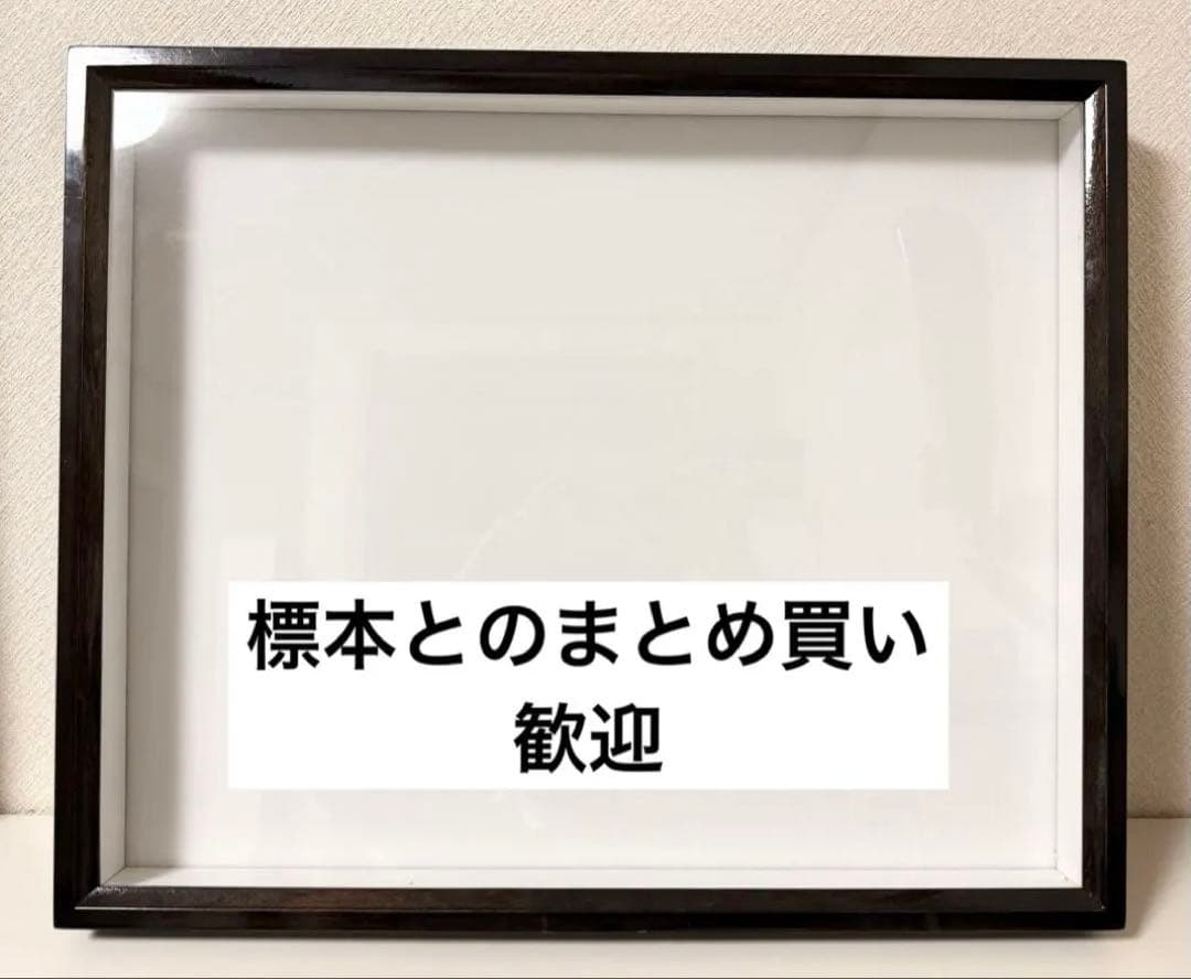 大型ドイツ箱 メーカー不明