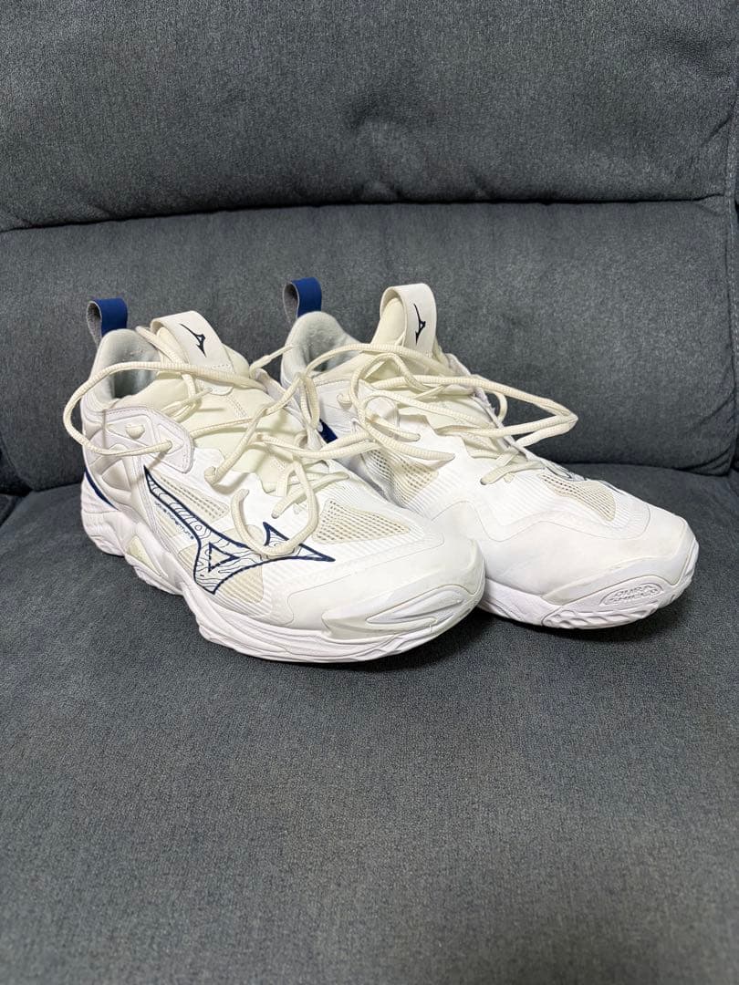 Mizuno バレーボールシューズ ウエーブモーメンタム3 28.5cm