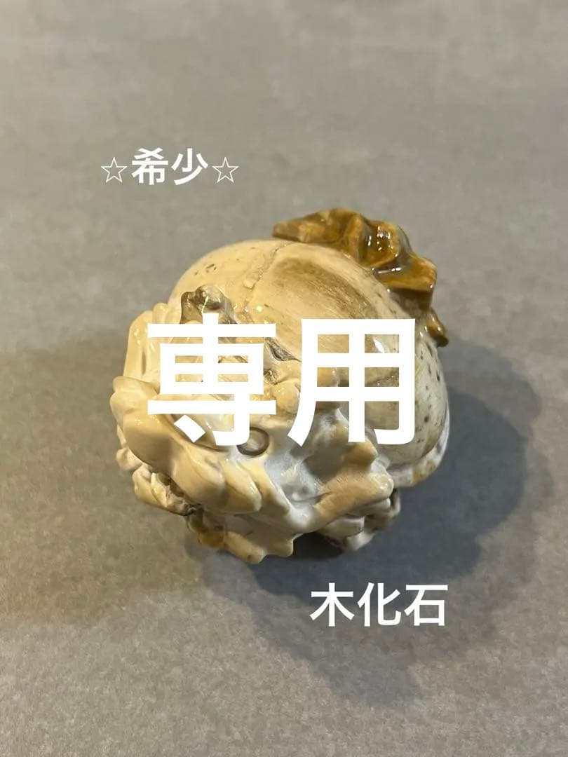 ✳︎弥生、1/1までお取り置き✳︎木化石　ピンクオパール　ロングイセット