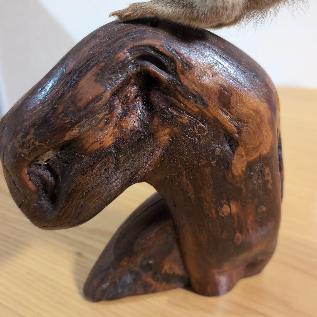 剥製　本物　リス