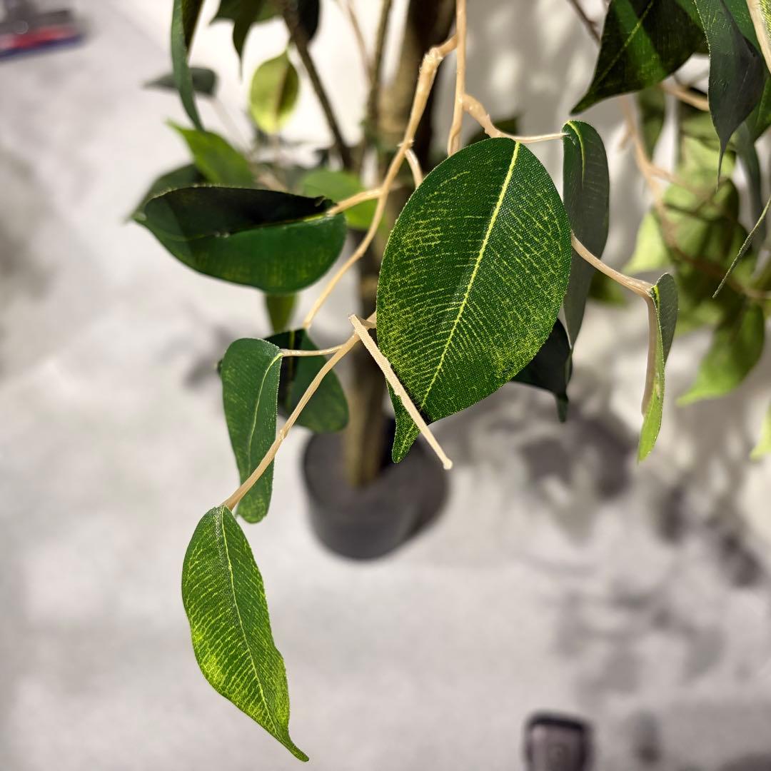 フェイクグリーン　ベンジャミン(フィスカ) 165cm 観葉植物　造花