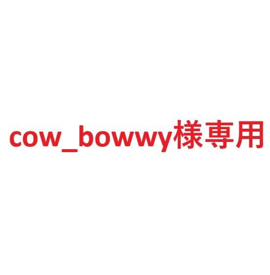 【cow_bowwy】カーミットチェア用 真鍮 金具全14パーツ 2セット