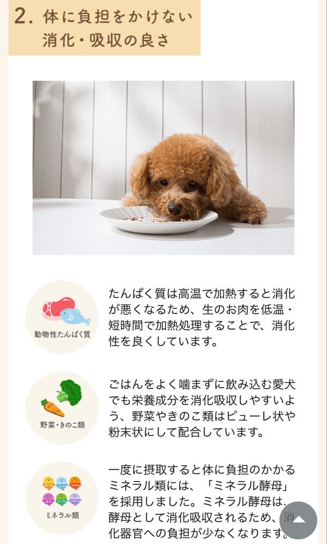 【新品未開封】ファンケル グーディッシュ チキンベース2箱セット フリーズドライ