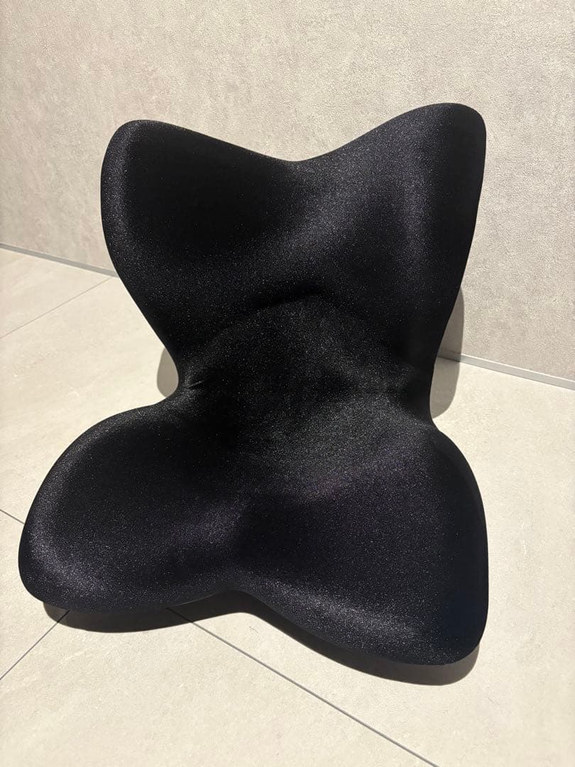 Style PREMIUM DX スタイルプレミアムデラックス　美品