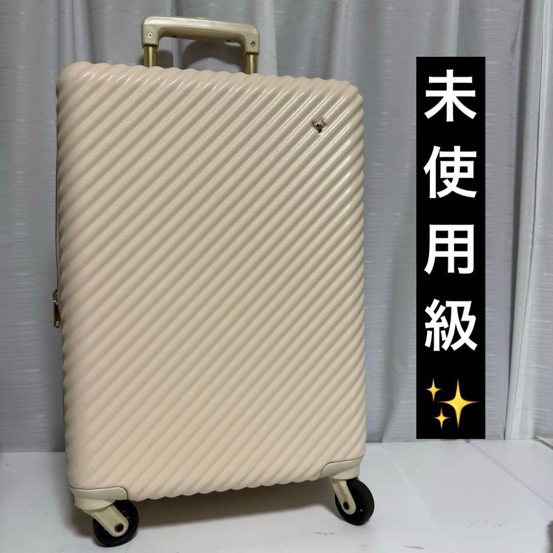 ⭐️未使用級⭐️ACE HaNT mine スーツケース ハントマイン
