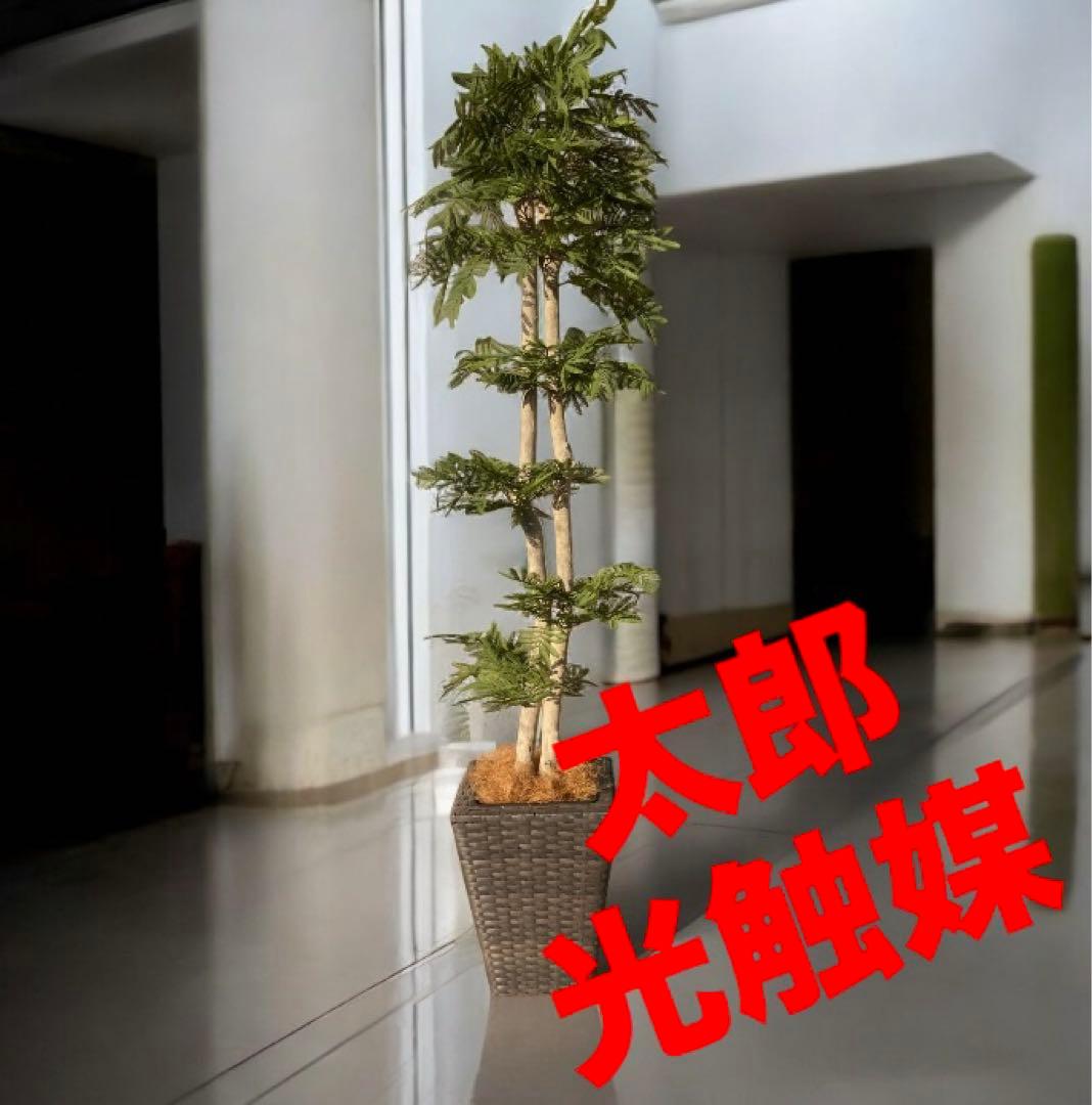 光触媒　人工観葉植物　ウォールグリーン　フェイクグリーン　エバーフレッシュ182