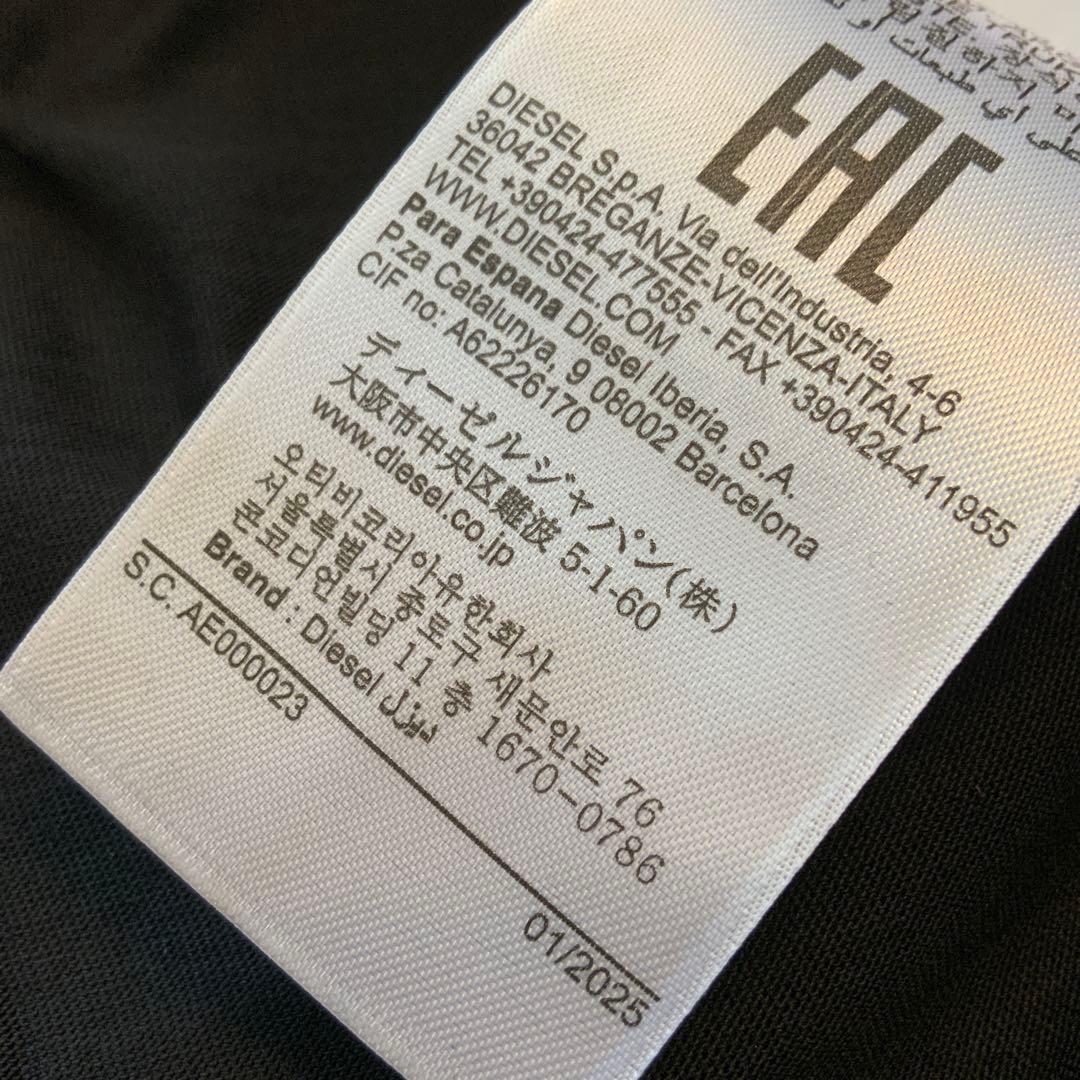 ラスト１点　DIESEL　T-ISCO-DIV　Ａ10508　M　ロゴ　ノースリ
