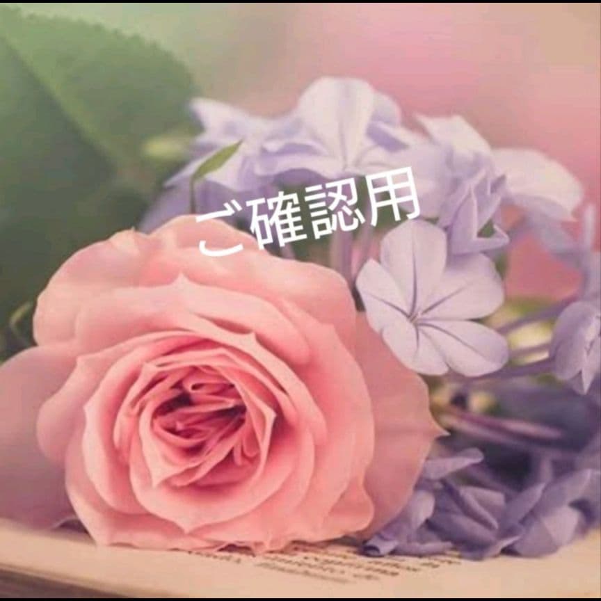 専用になります