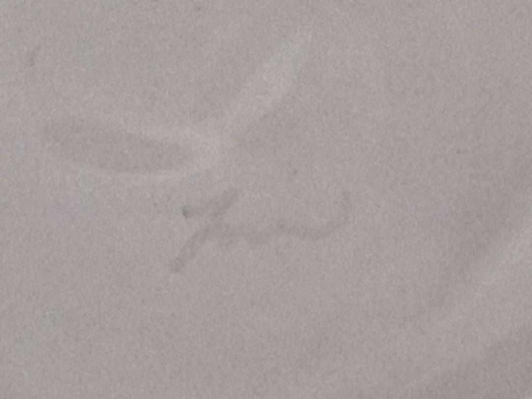 【美品】 田井将博 輪花モール鉢 3点セット 鉢 器 食器 ガラス ボウル 皿