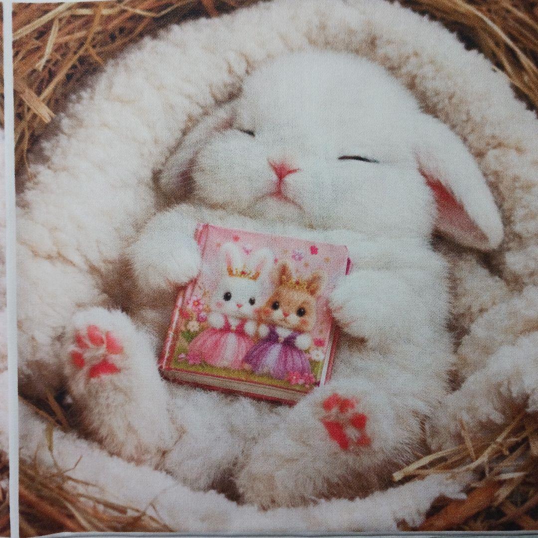 ご予約受付ページ　ウサギパネル