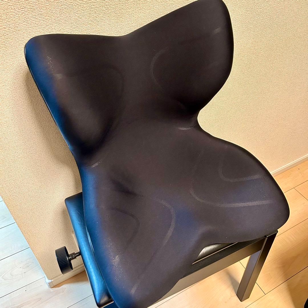 MTG Style PREMIUM スタイルプレミアム ブラック　姿勢サポート