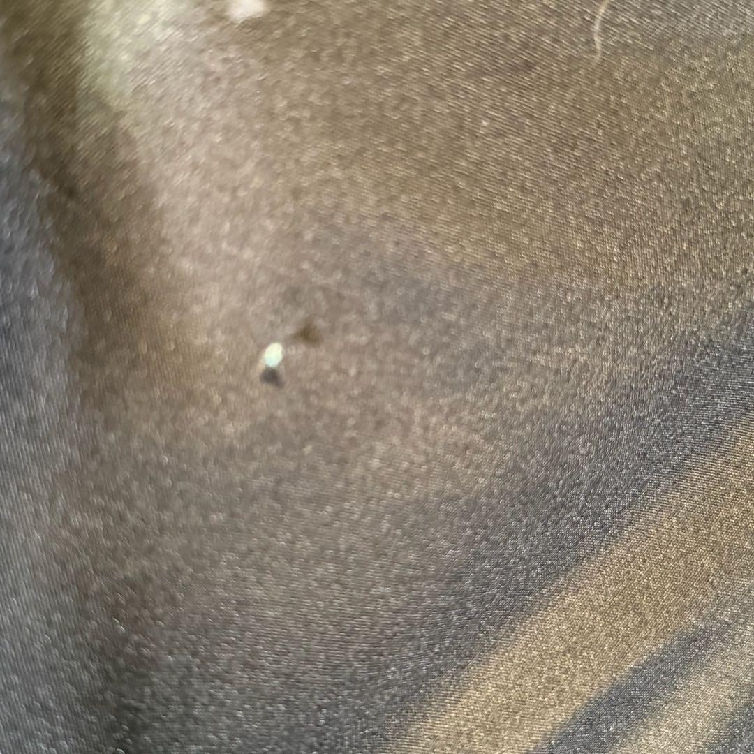 HR723 希少　バロッサバレンティ　hexagon 全面ガラスキュリオケース