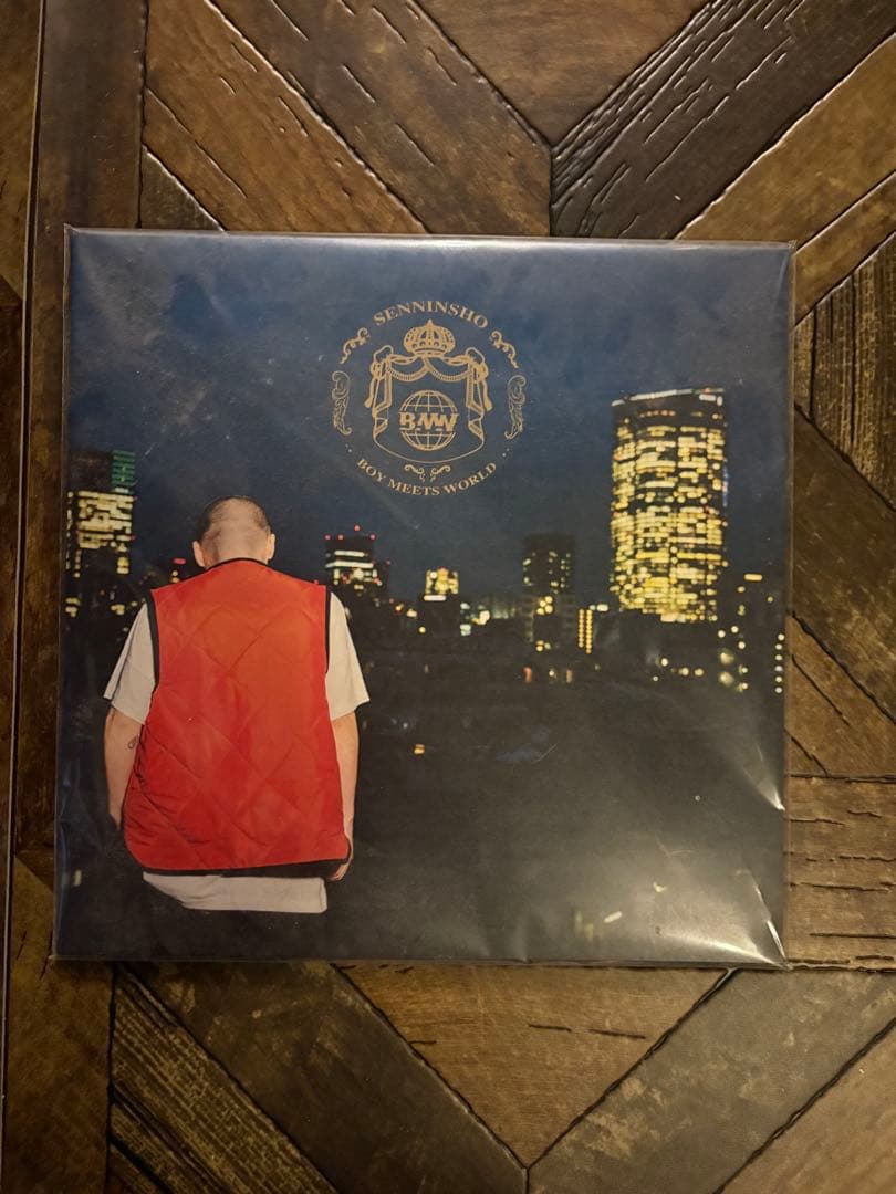 仙人掌　BOY MEETS WORLD レコード　LP