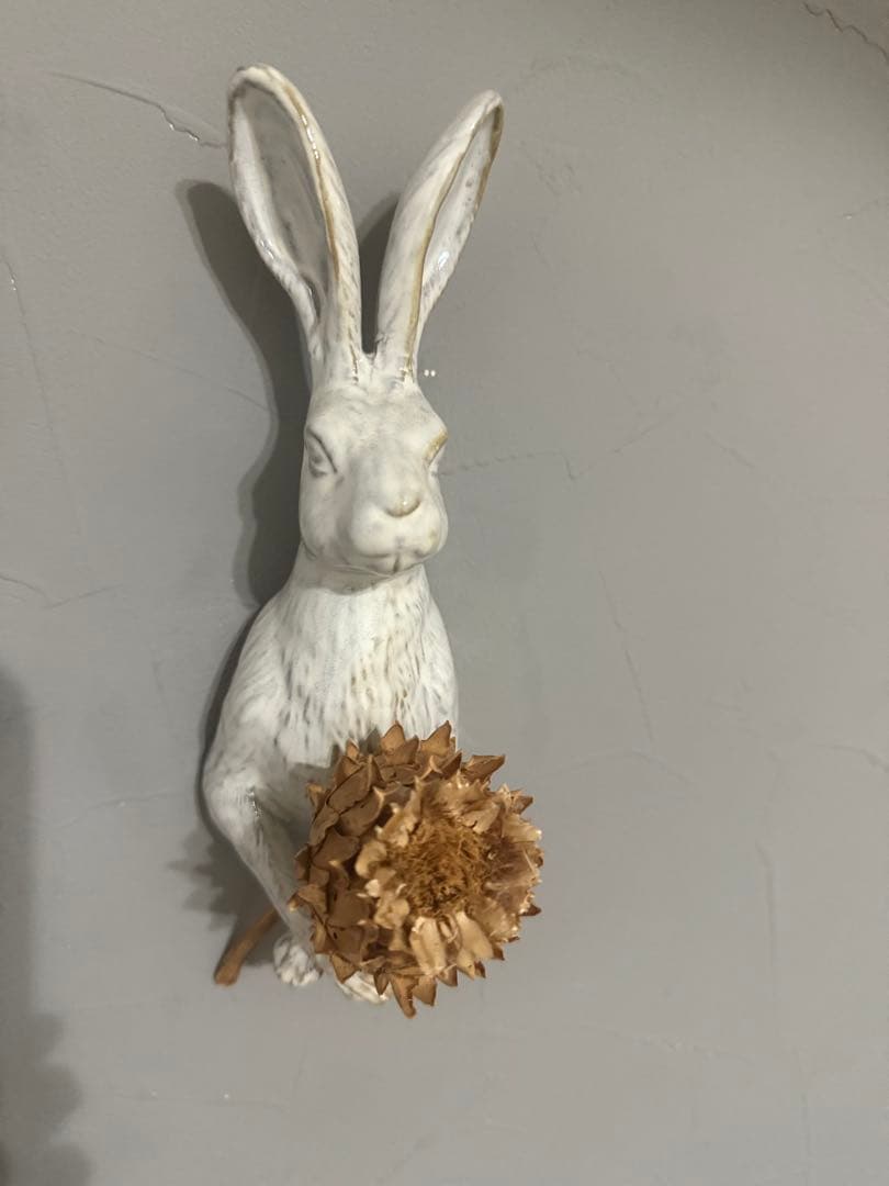 Yarnnakarn ヤナカーン　ウサギの壁掛けフック