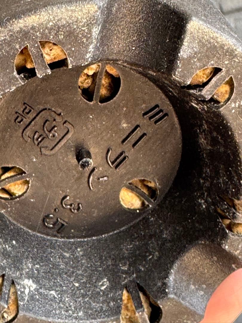 ☆激レア☆ スーパーホリダ×宇田ゼブラホリダ実生　ホリダ　オベサ