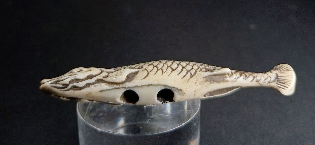 鯨歯彫 型彫 根付「川魚 」江戸時代 珍しい題材