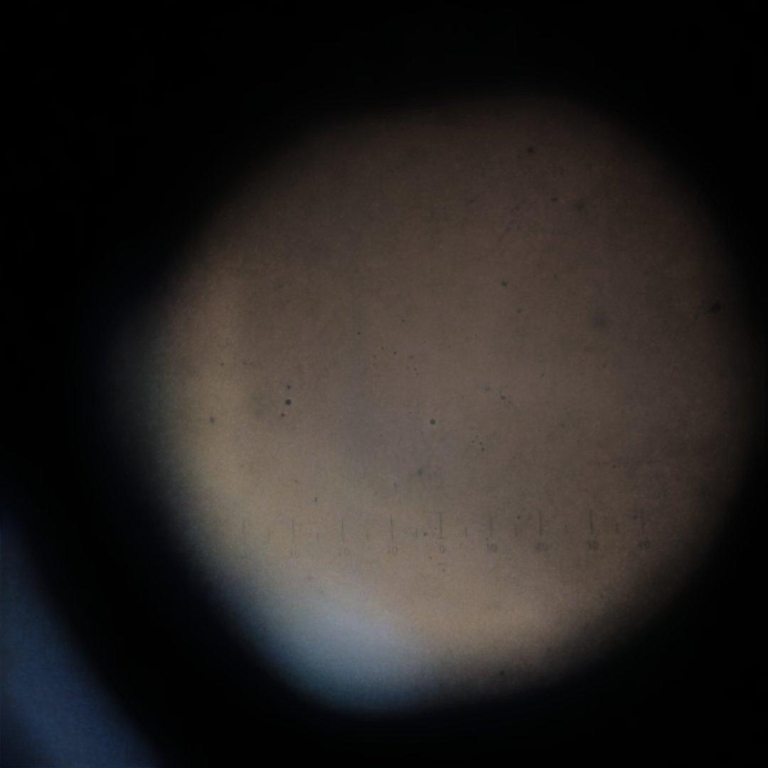 ＷＷ2ドイツ軍6×30双眼鏡（実物) 　　　　　ジャンク品