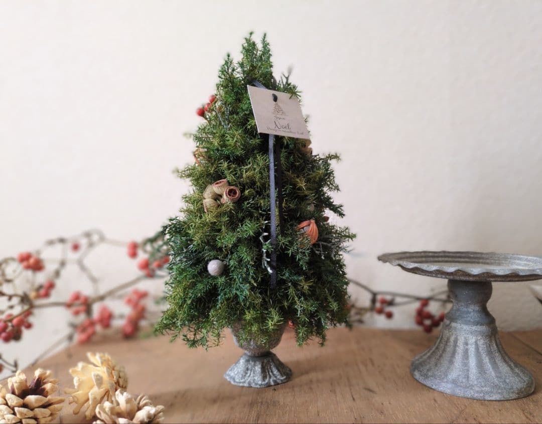 コニファーのクリスマスツリー プリザーブド Christmas tree