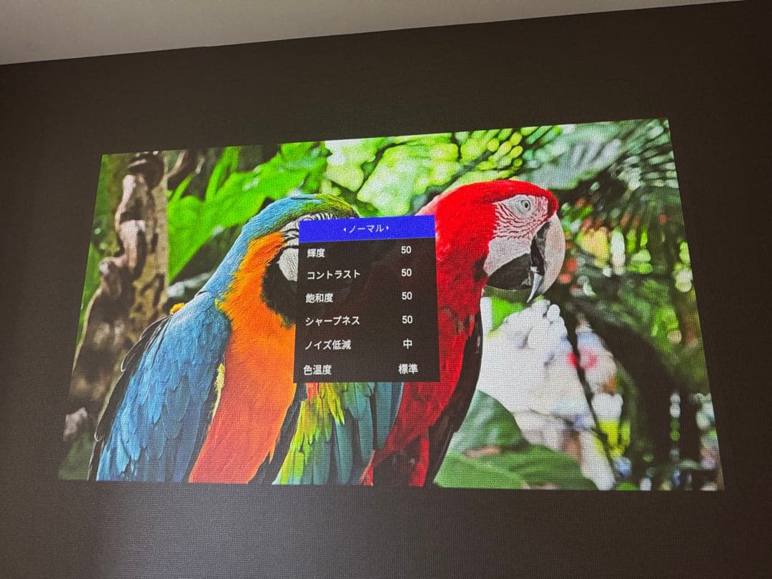 単*茎様 【ドット抜けなし】popIn Aladdin 2