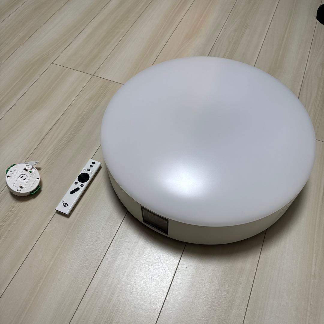 単*茎様 【ドット抜けなし】popIn Aladdin 2