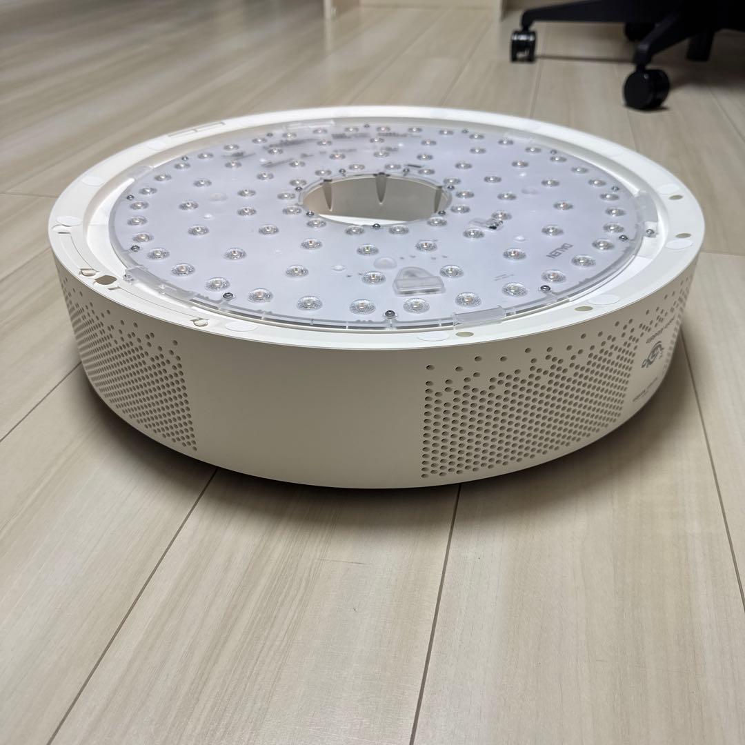 単*茎様 【ドット抜けなし】popIn Aladdin 2