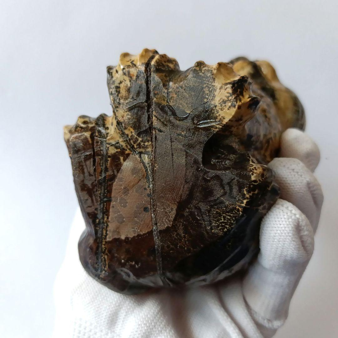 BIG✨ ピクチャージャスパー　絵画碧玉　お座り猫　天然石　パワーストーン　置物