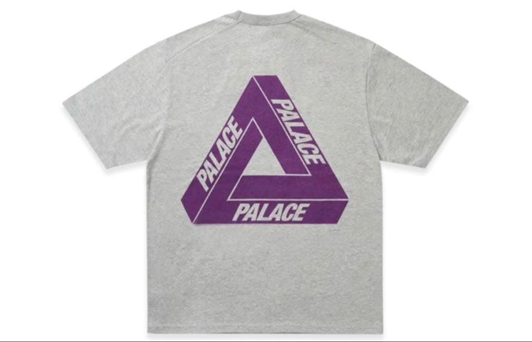 トップス PALACE The North Face Field Graphic Tee