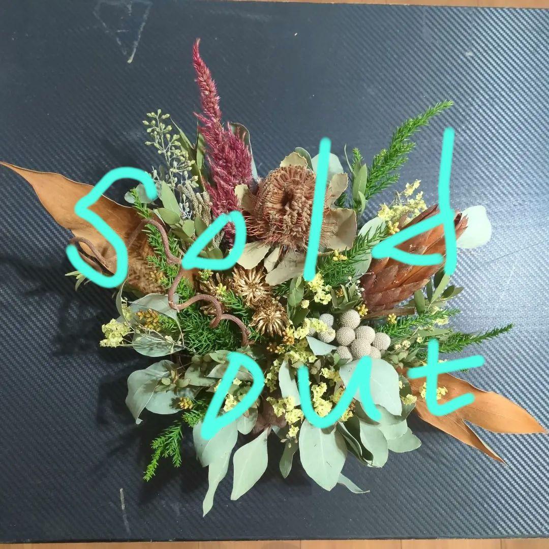 特価！ドライフラワー★プロテア、ココニシア壁掛けアレンジメント★インテリア