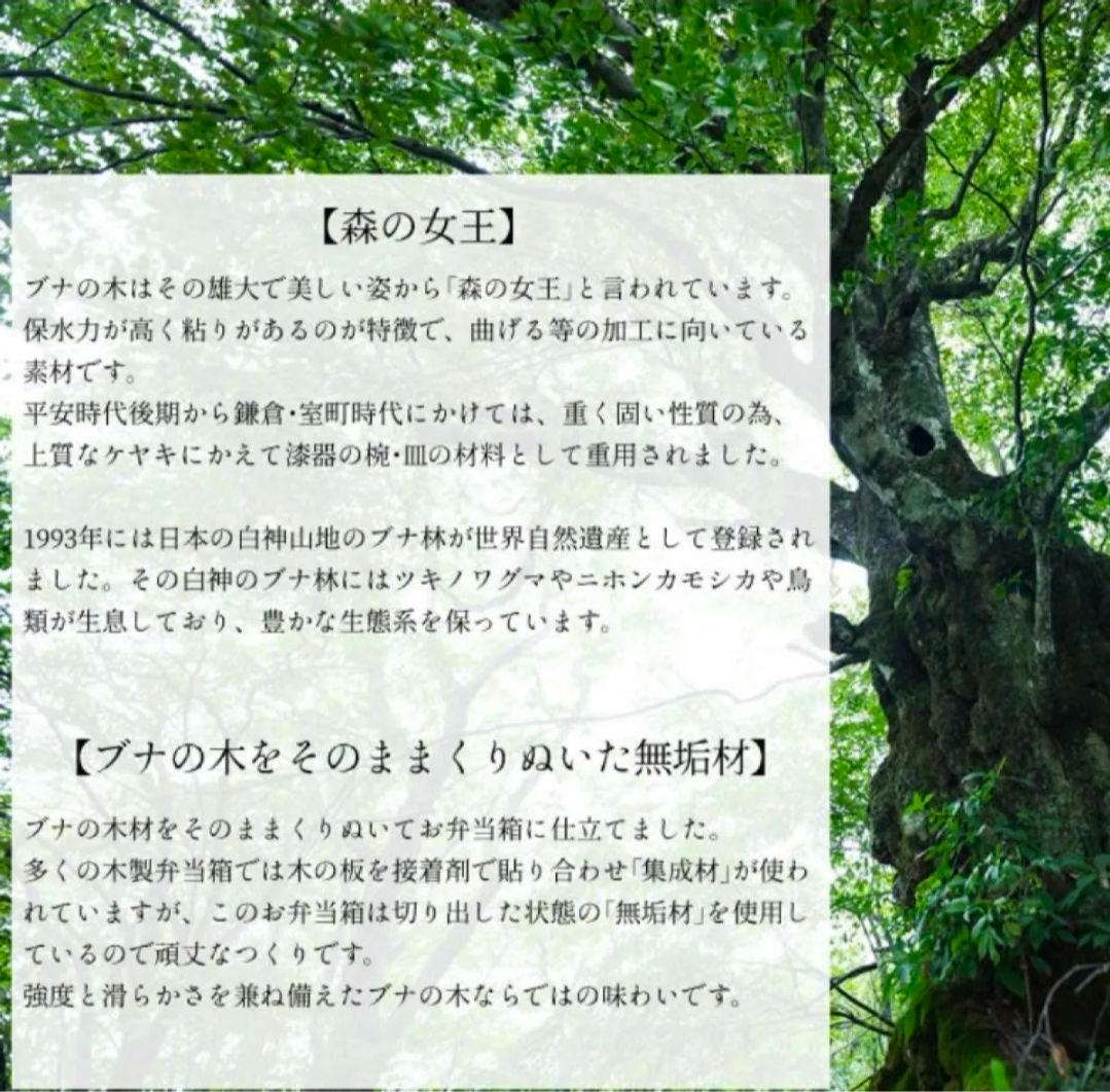 buna ブナ アニマルウッド お弁当箱 ランチ　300ml セット