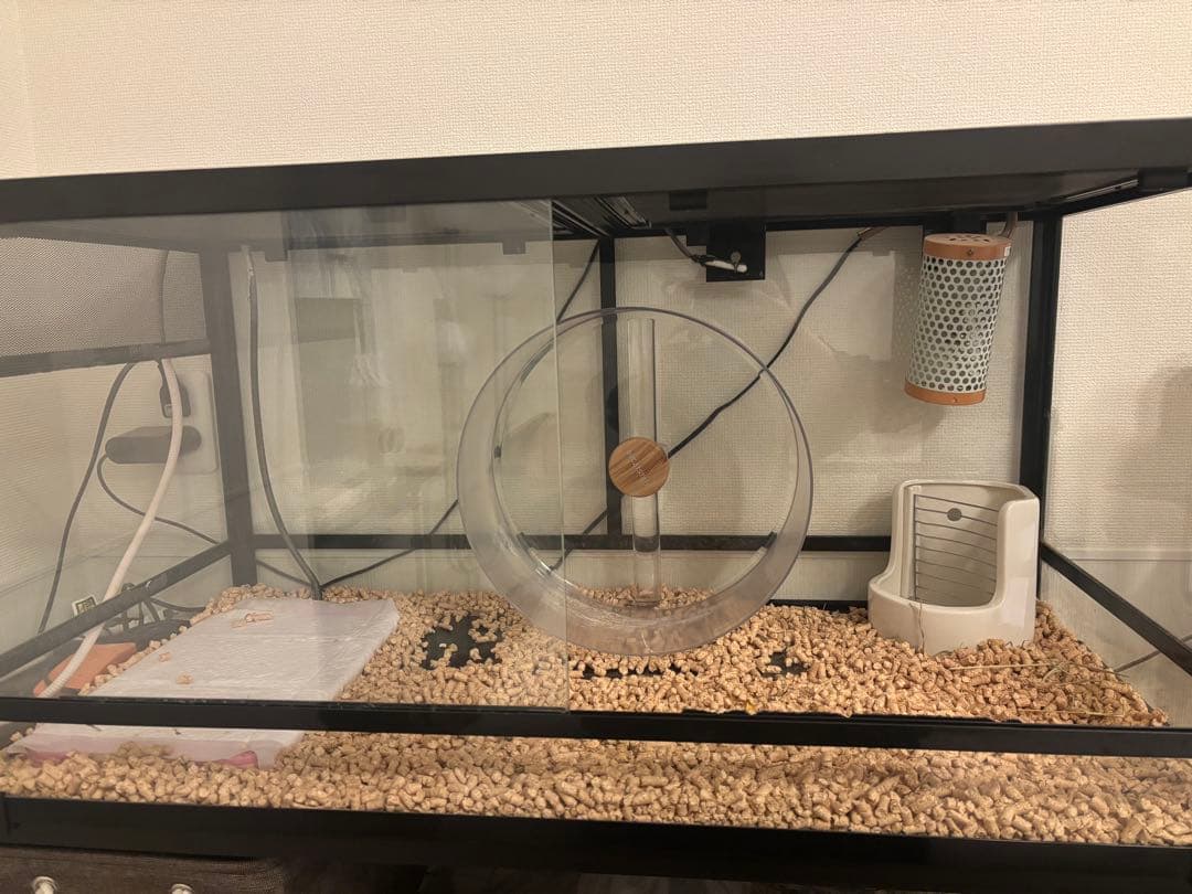 三晃商会 SANKO パンテオン ブラック BK9045 ワイルドモンスター