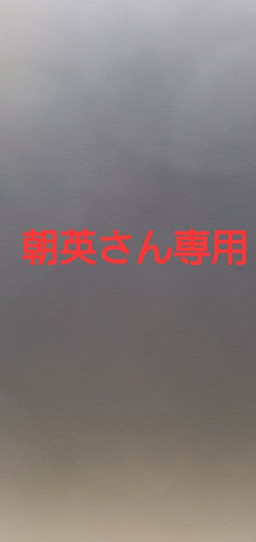 #00 トラック、シャンデリア、24V 調光器付き、外付けソケット、硝子デカ球
