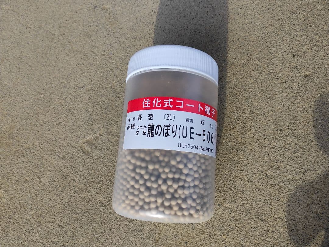 ネギの種　龍のぼり14個