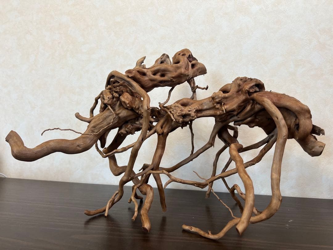 13004 ブランチウッド　流木　アクアリウム　沈水確認済