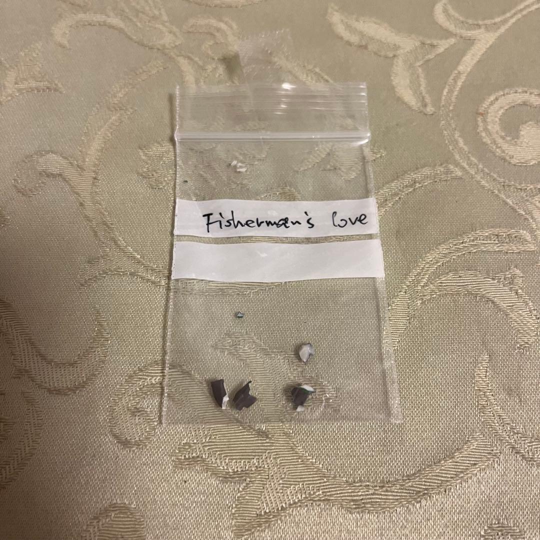 ダンバリーミント☆Fisherman's Cove②