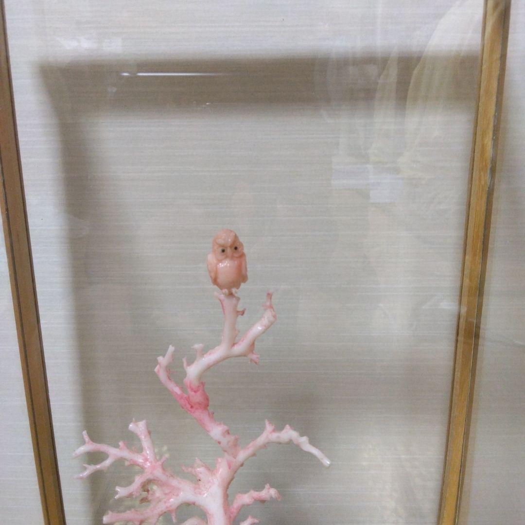 桃色珊瑚鴟鵂文置物 ケース付
