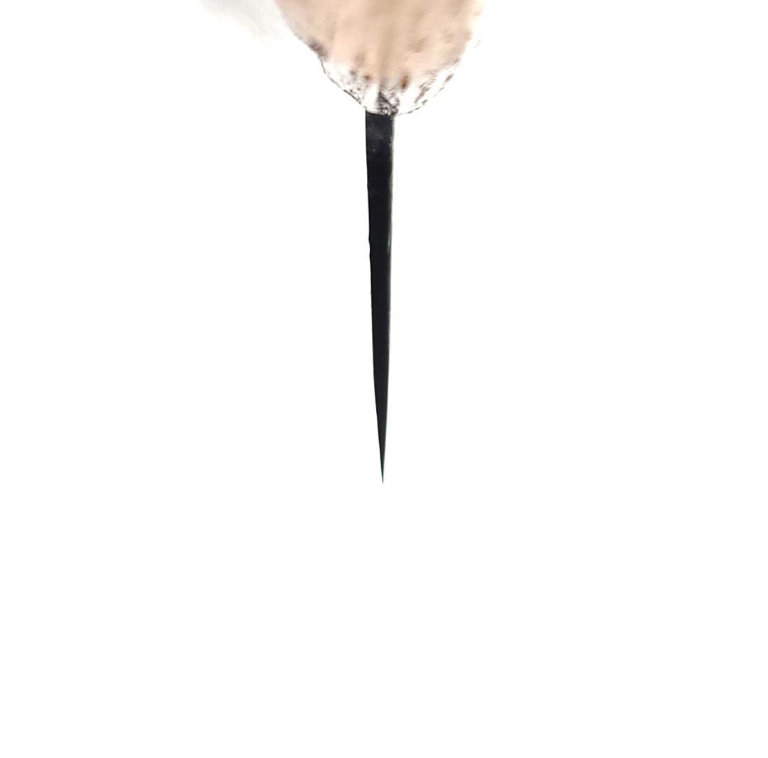 白紙1号 黒打 三徳包丁 165㎜ G9391 栗柄 月光作 １点物