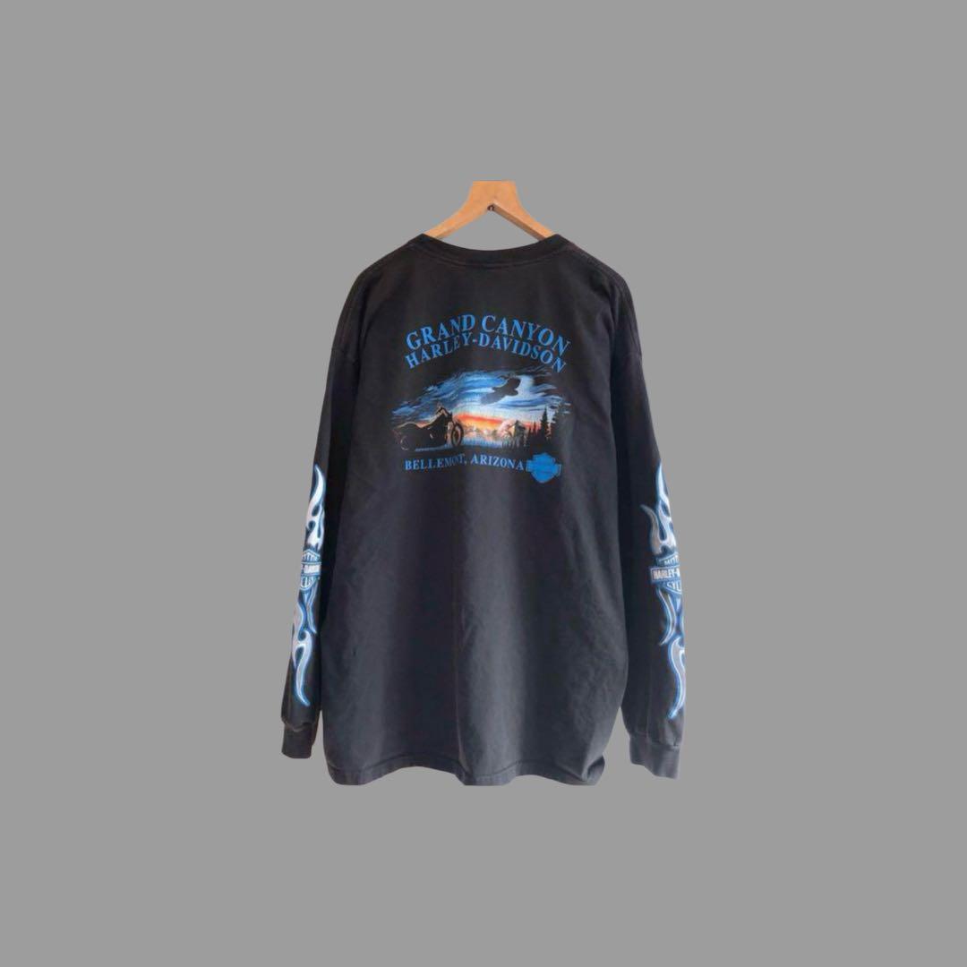 ハーレーダビッドソン ロンT スリーブロゴ ファイヤーパターン
