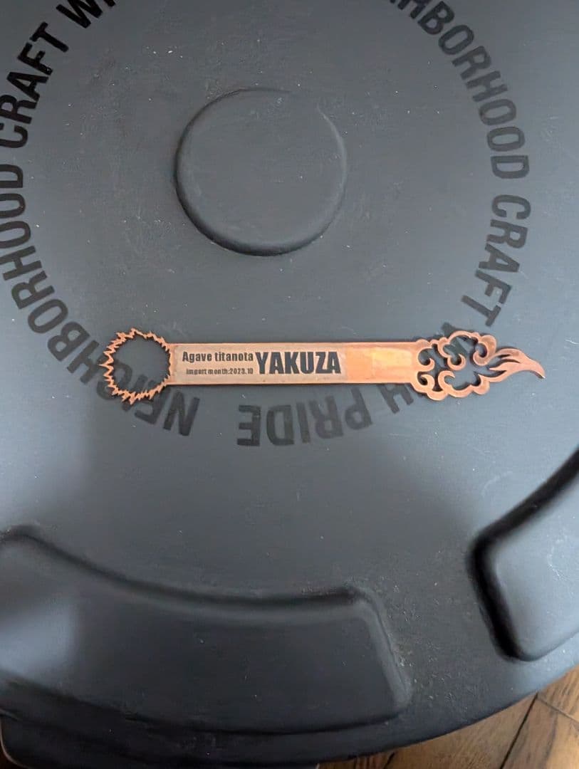 アガベ　チタノタ　YAKUZA ヤクザシーザー 子株