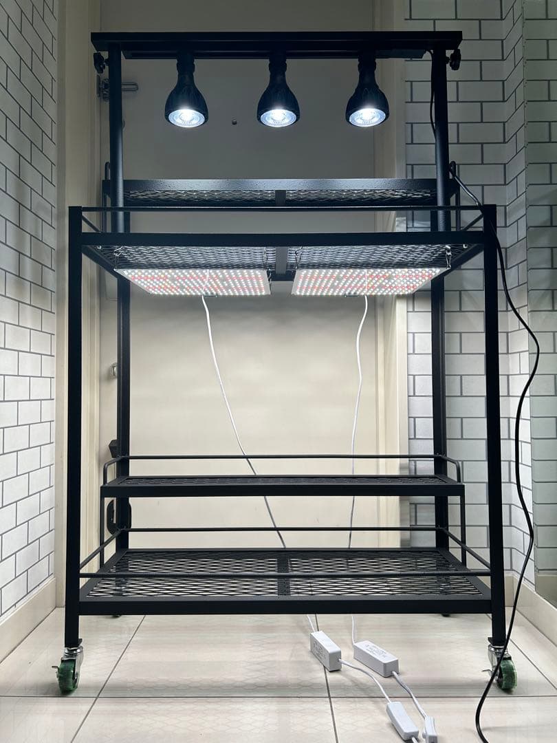 キャスター付植物棚　アイアン棚　パキプス　アイアンシェルフ　アガベ　育成ライト