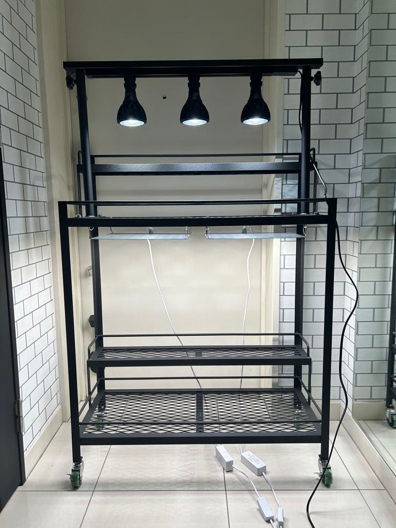 キャスター付植物棚　アイアン棚　パキプス　アイアンシェルフ　アガベ　育成ライト