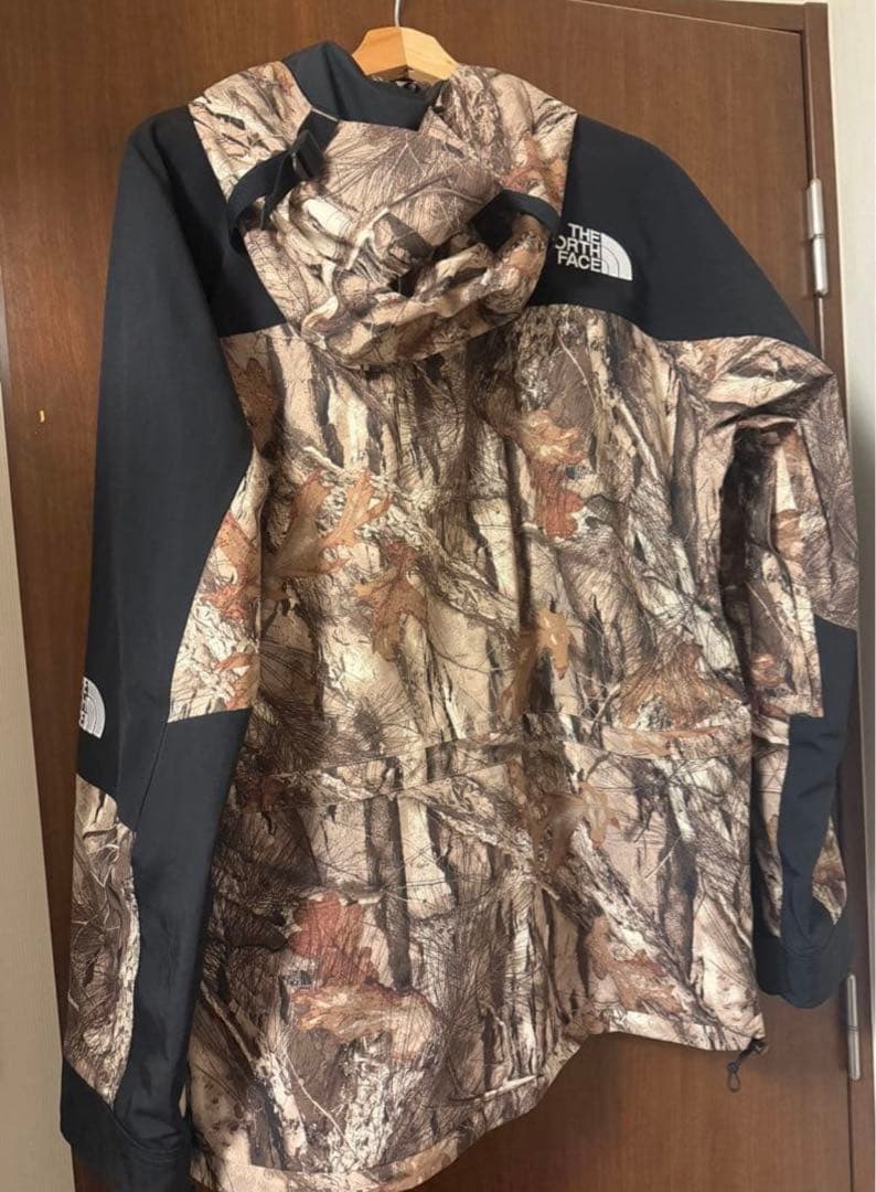 ノースフェイス GORE-TEX マウンテンパーカー