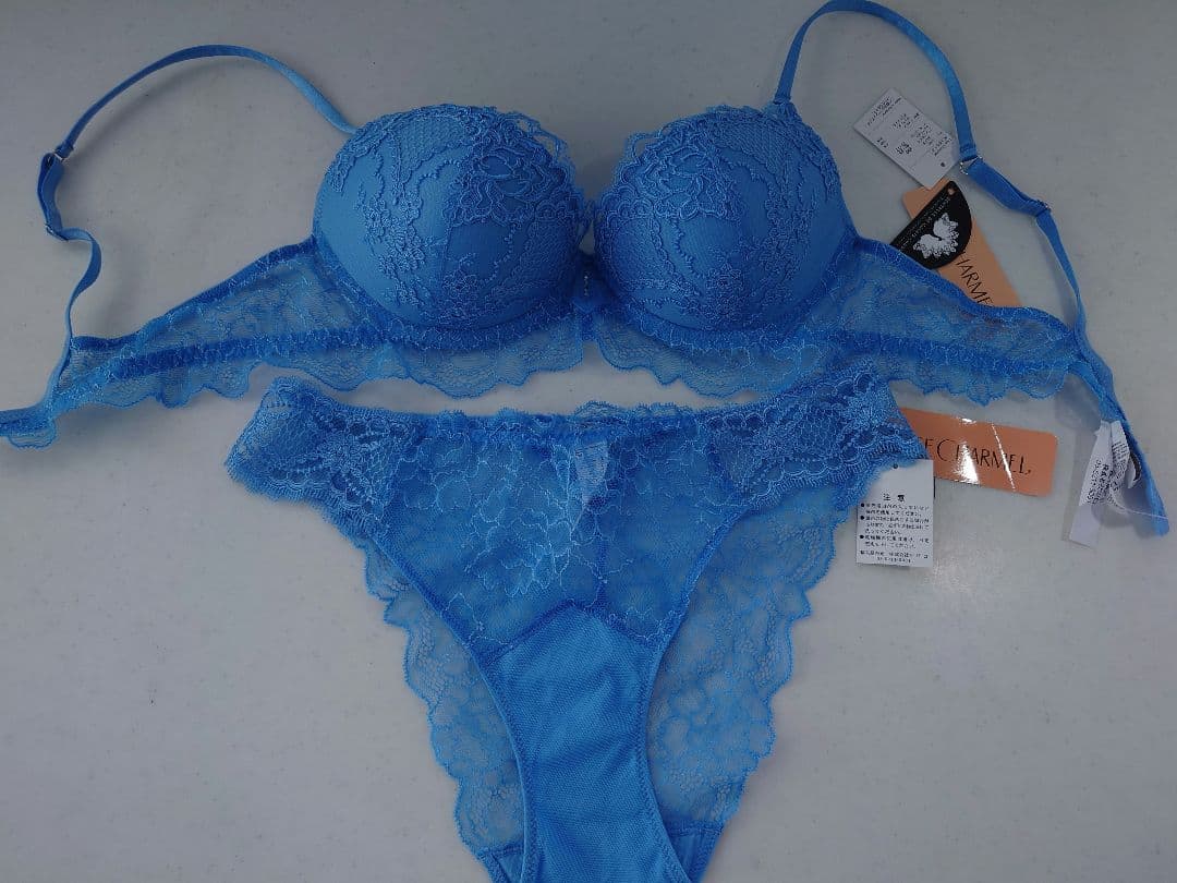 LISE CHARMEL リズシャルメル ブラ ショーツ セット 新品