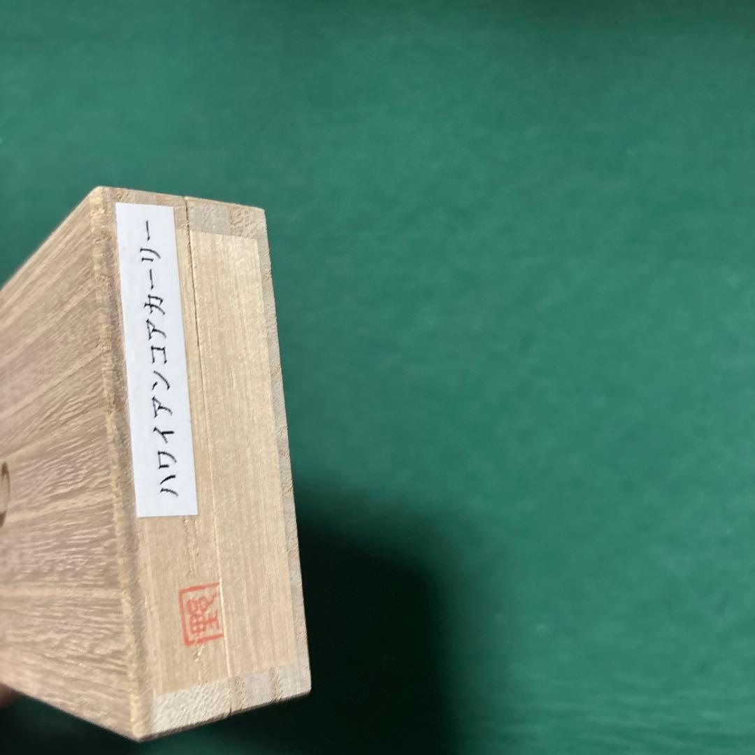 野原工芸 斑紋孔雀色 ハワイアンコアカーリー シャーペン