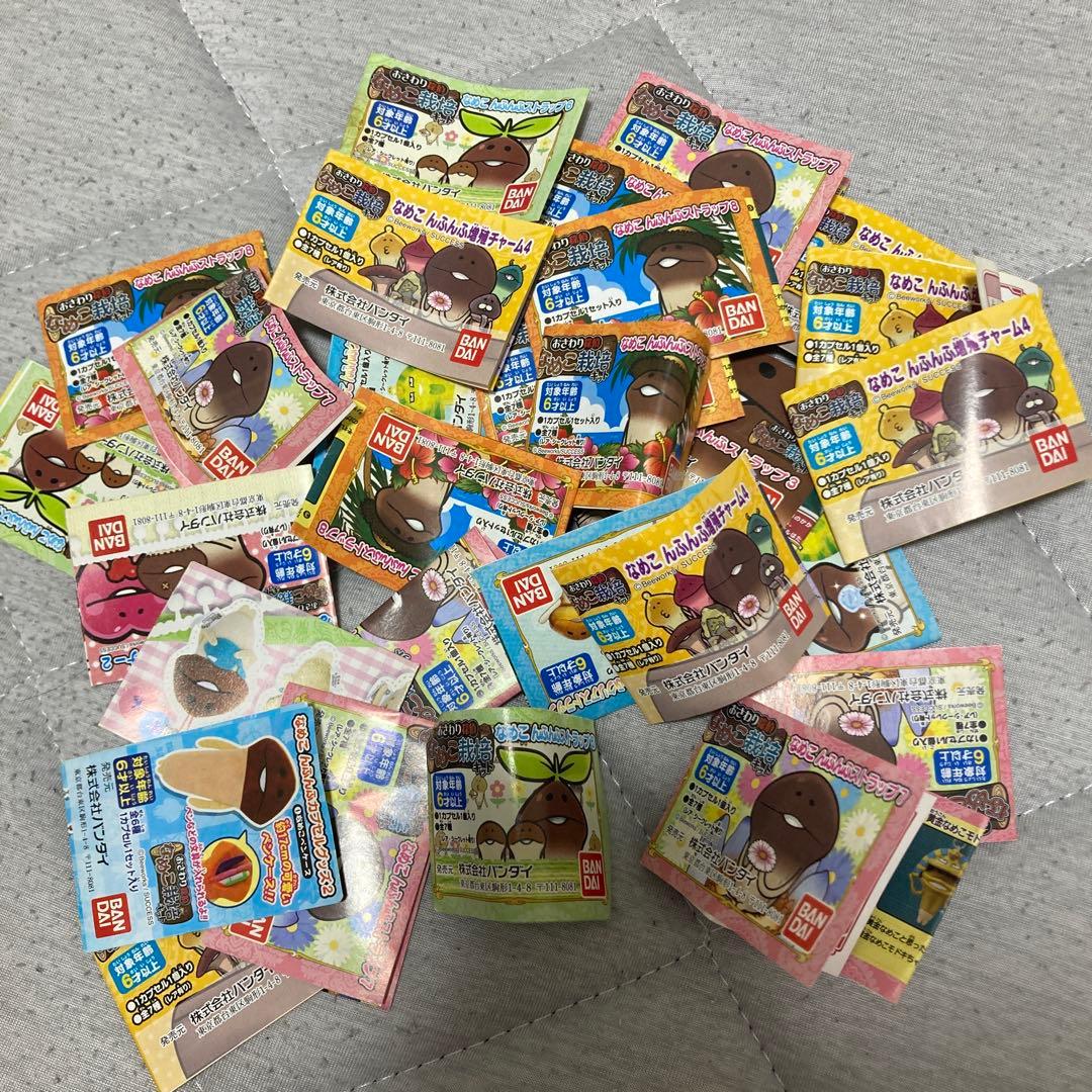 【新品未使用】おさわり探偵なめこ栽培キット　74個まとめ売り