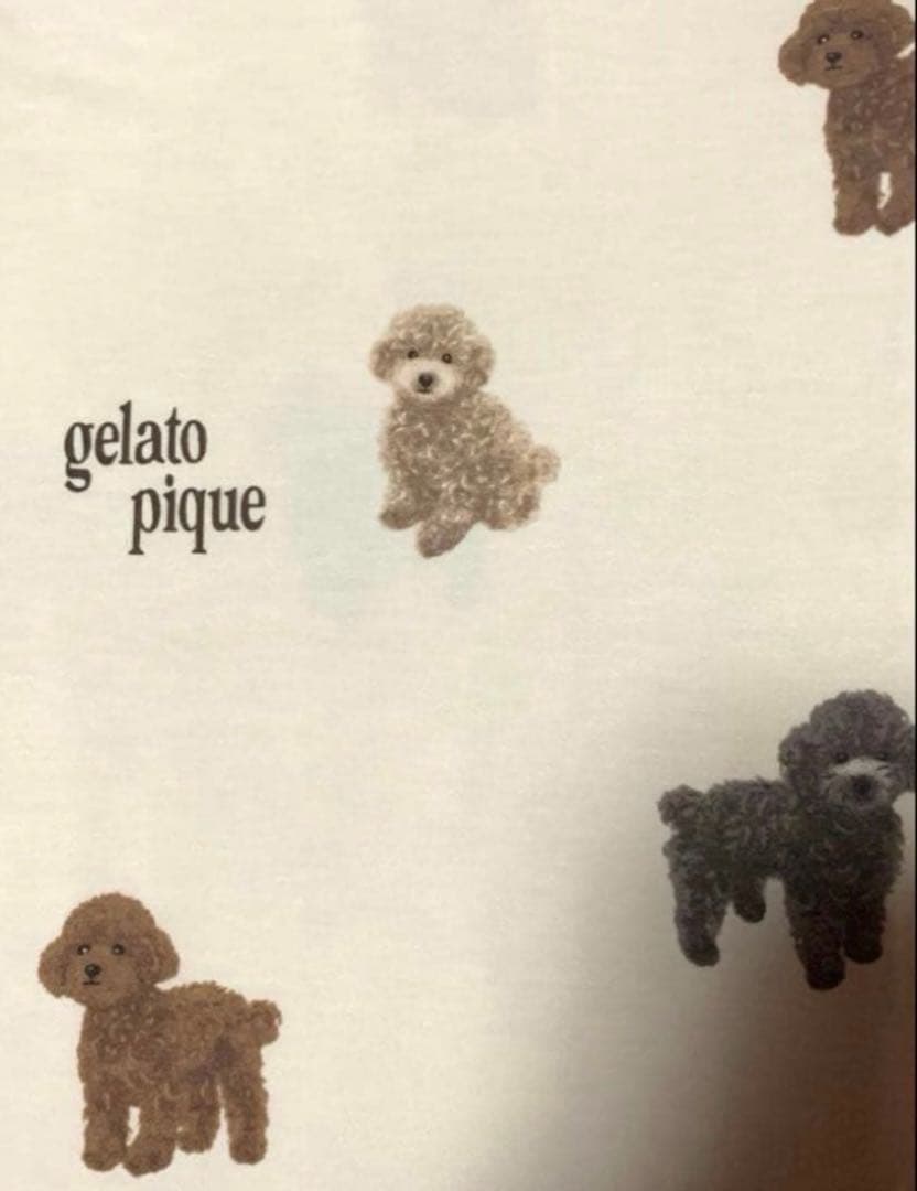 新品　gelato pique トイプードル　DOG3 ルームウェア　セット