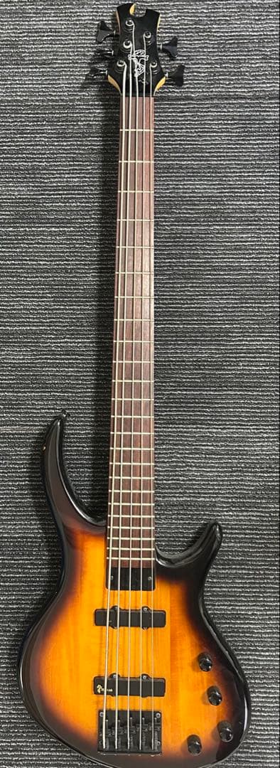 ephiphone Tobias Toby 5弦ベース　ジャンク