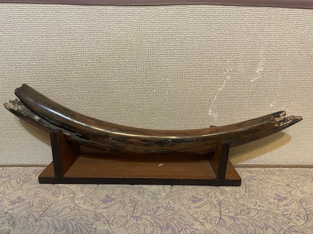 ★【実物】 大きなマンモスの牙 希少な一本モノ！ 美しい天然模様！